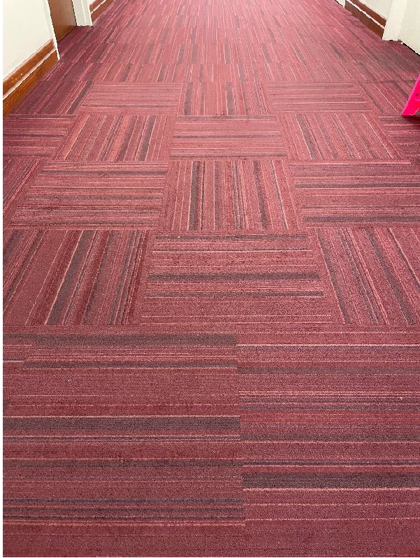 15-02-visual-illusion