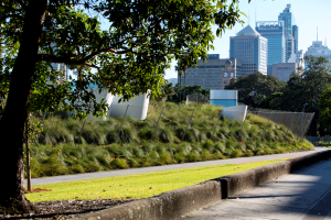 Street interface, Prince Alfred Park and Pool by Neeson Murcutt Architects with Sue Barnsley Design Landscape Architecture (Image: Brett Boardman)