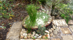 Green roof micropond at Christie Walk