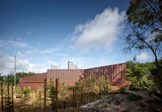 Land undergoing restoration area beside the Mon Repos Turtle Centre by KIRK. (Image Scott Burrows)